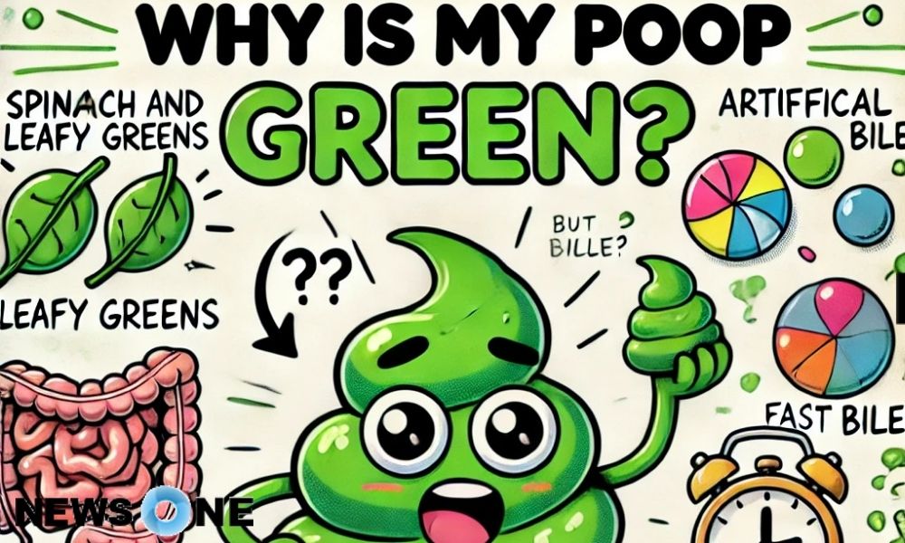 Why Is My Poop Green? 7 Causes You Didn’t Expect! Why Is My Poop Green? 7 Causes You Didn’t Expect!